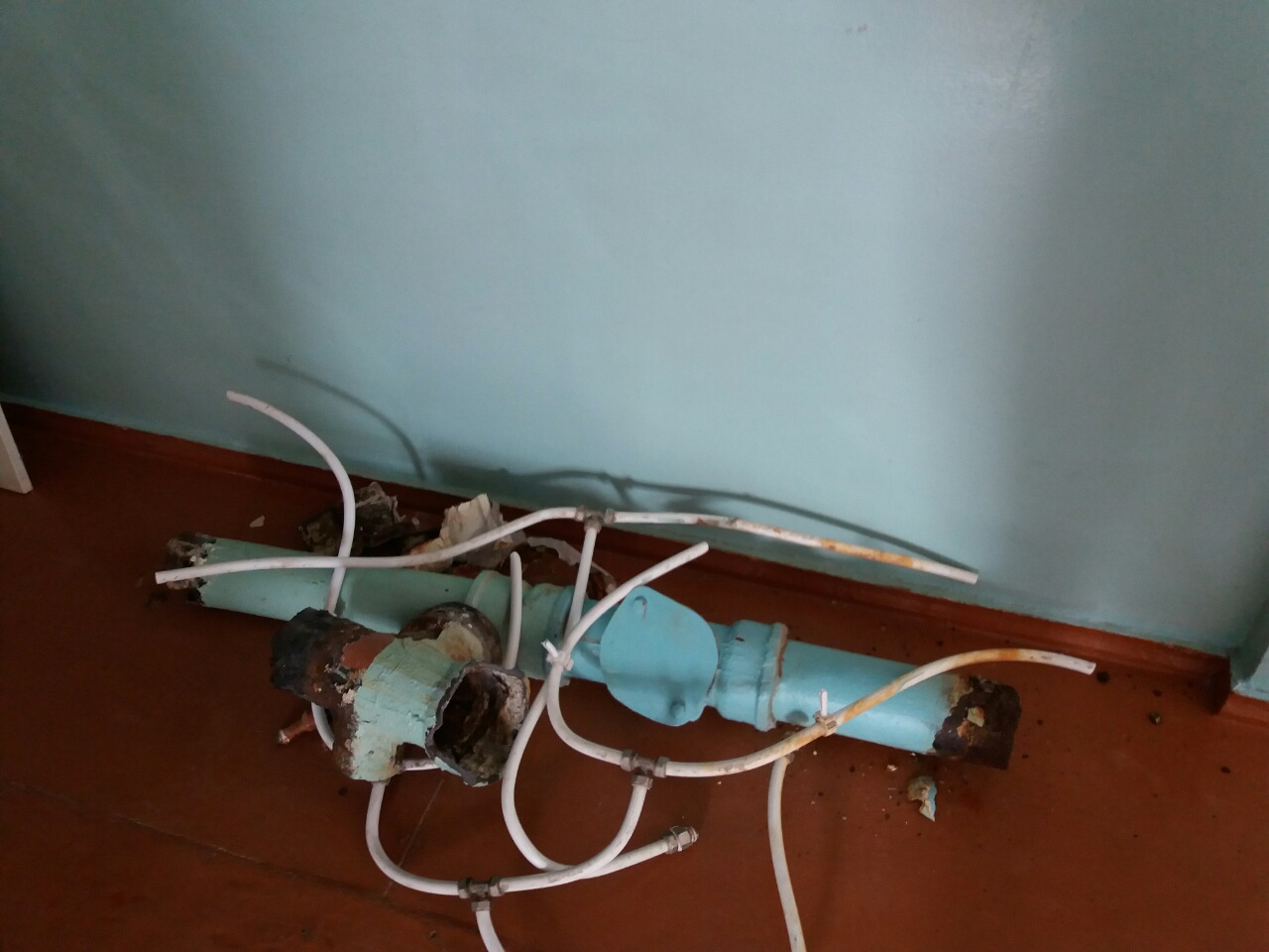 IMG-059e8b3cfcdd7074dc07b5c2b86505d1-V