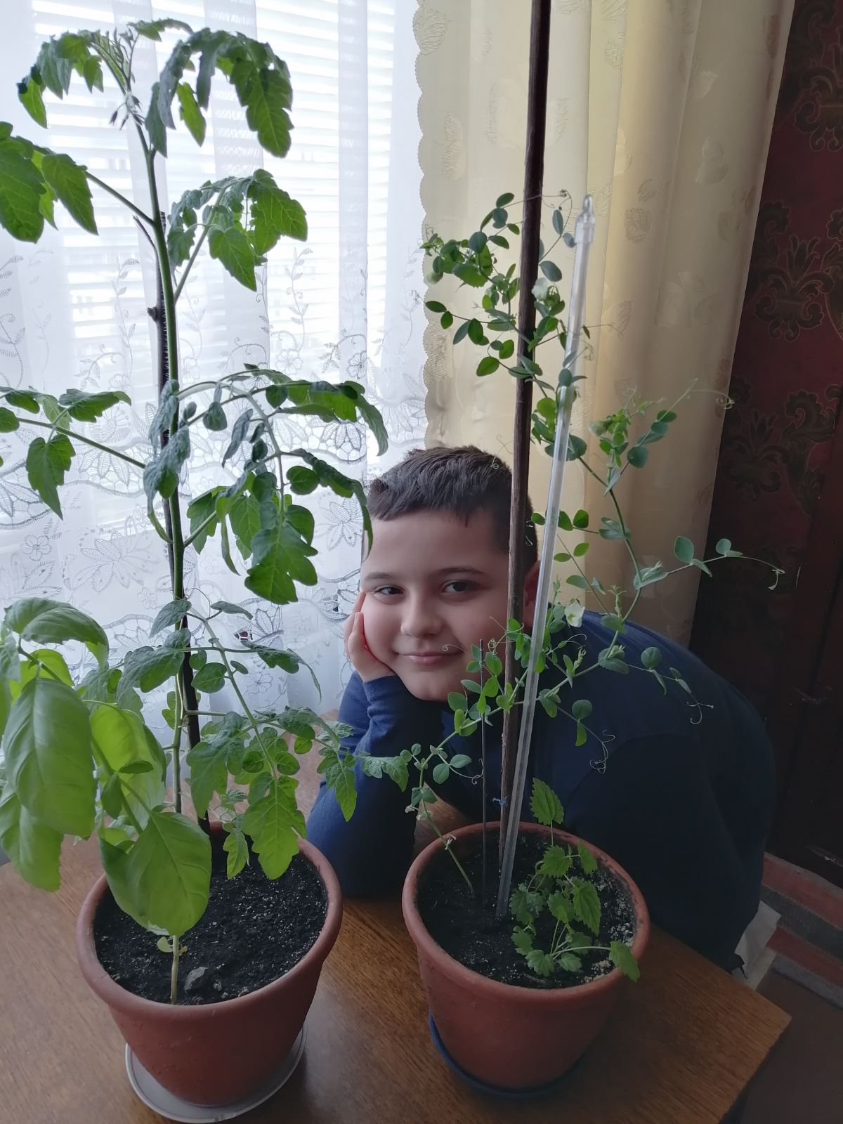 Соловйов Iлля 2-Г