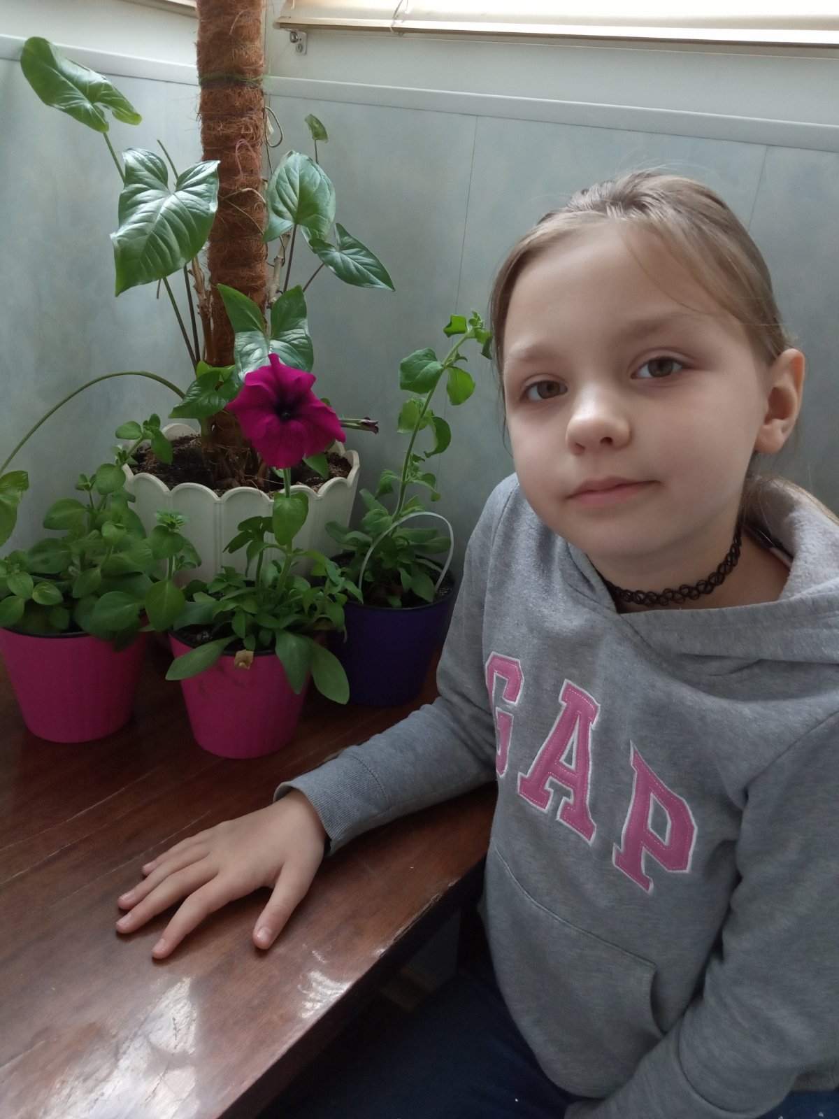 Шамрiна Олександра 2-Г