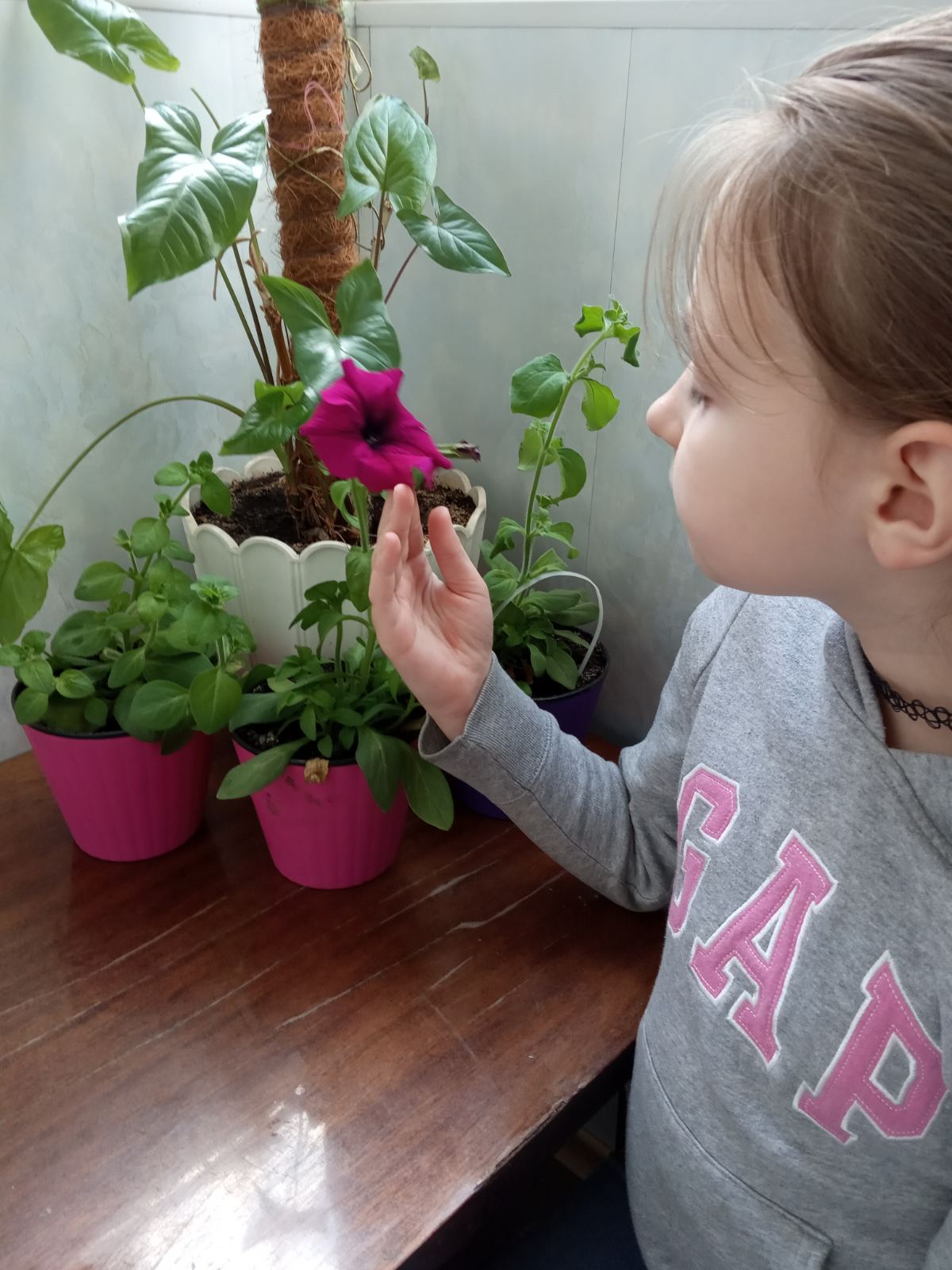 Шамрiна Олександра 2-Г 3