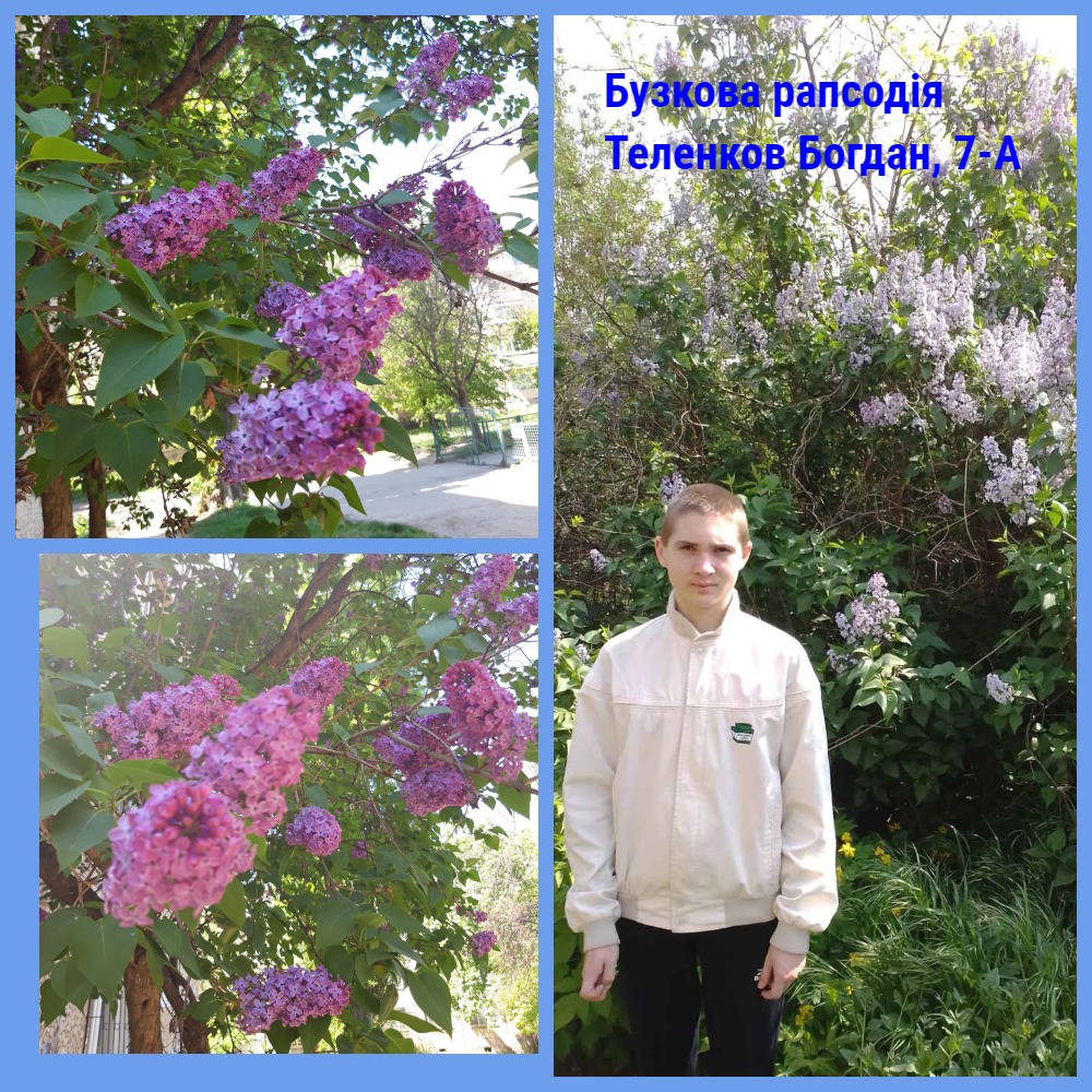 Теленков Богдан 7А