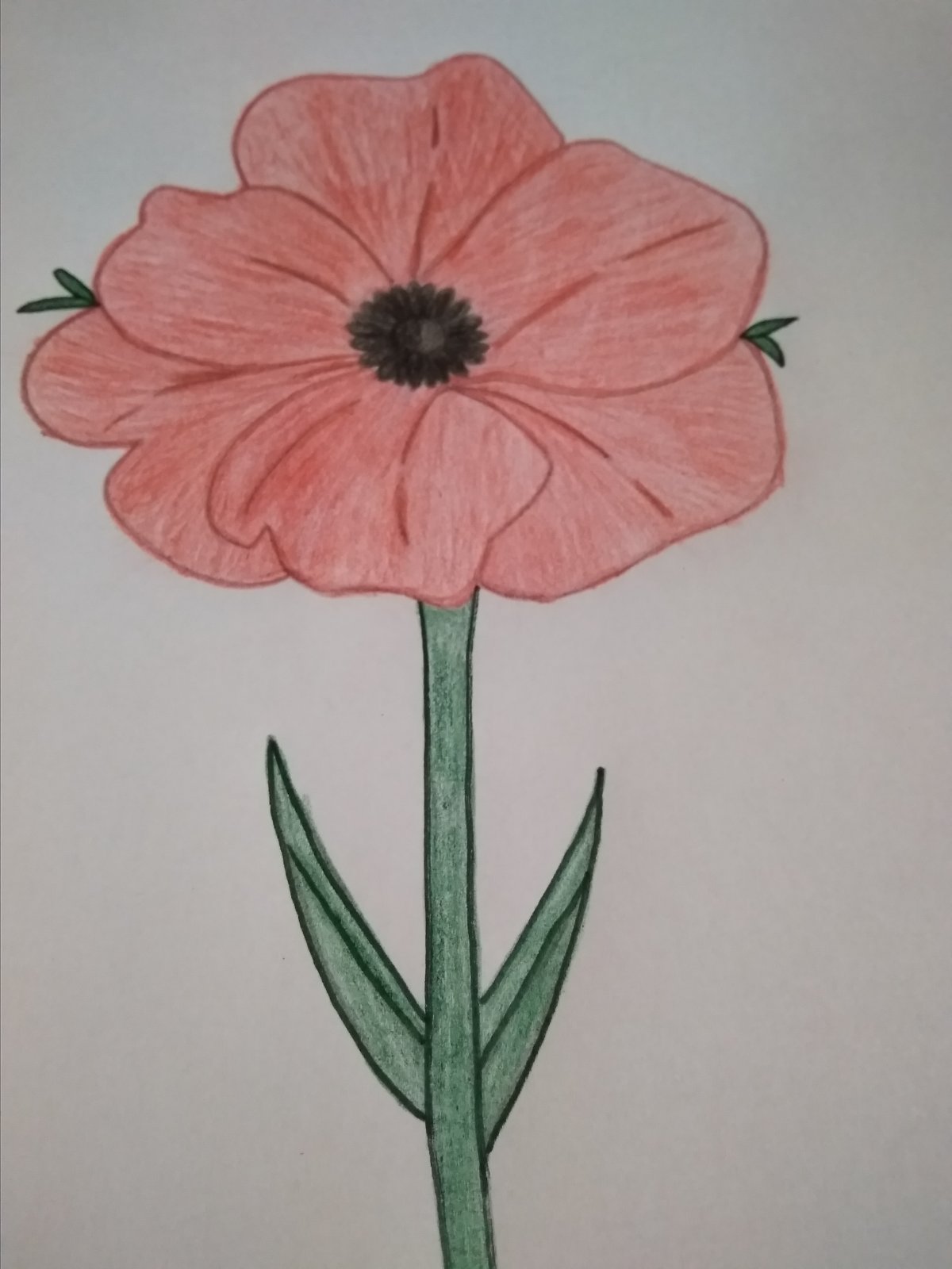 мак07