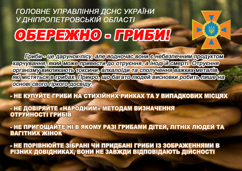 Гриби