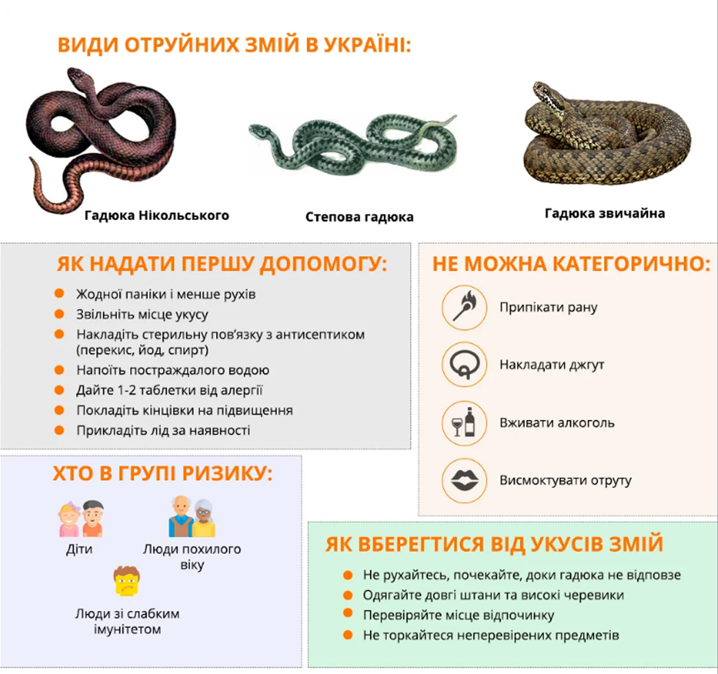 Змii