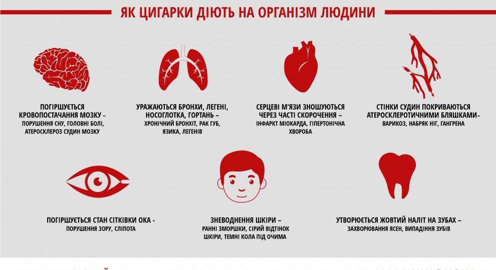 изображение viber 2021-08-11 13-50-23-930