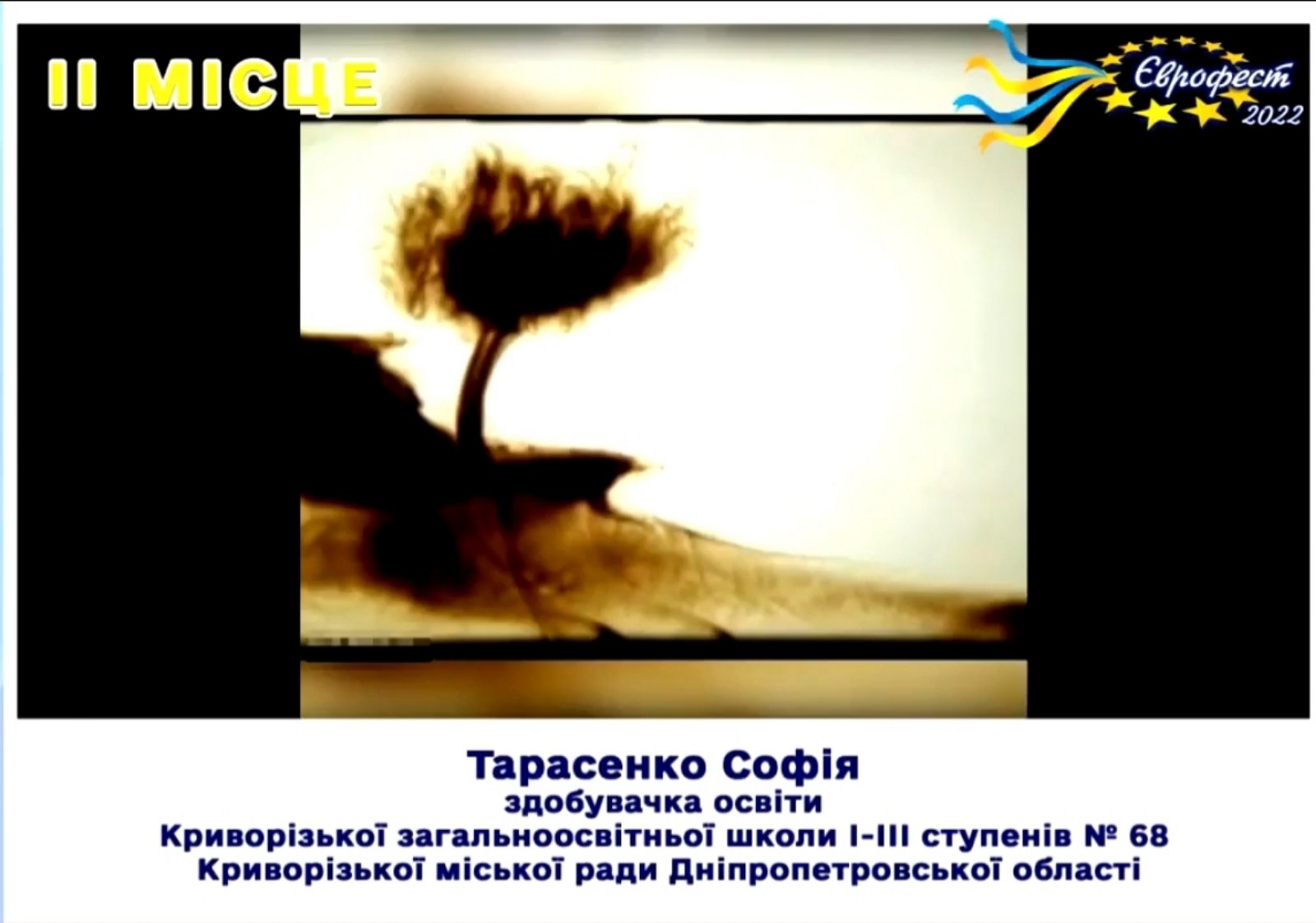 зображення viber 2022-05-22 17-43-58-004