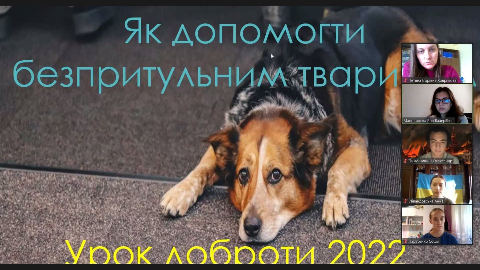 зображення viber 2022-11-18 19-13-00-847