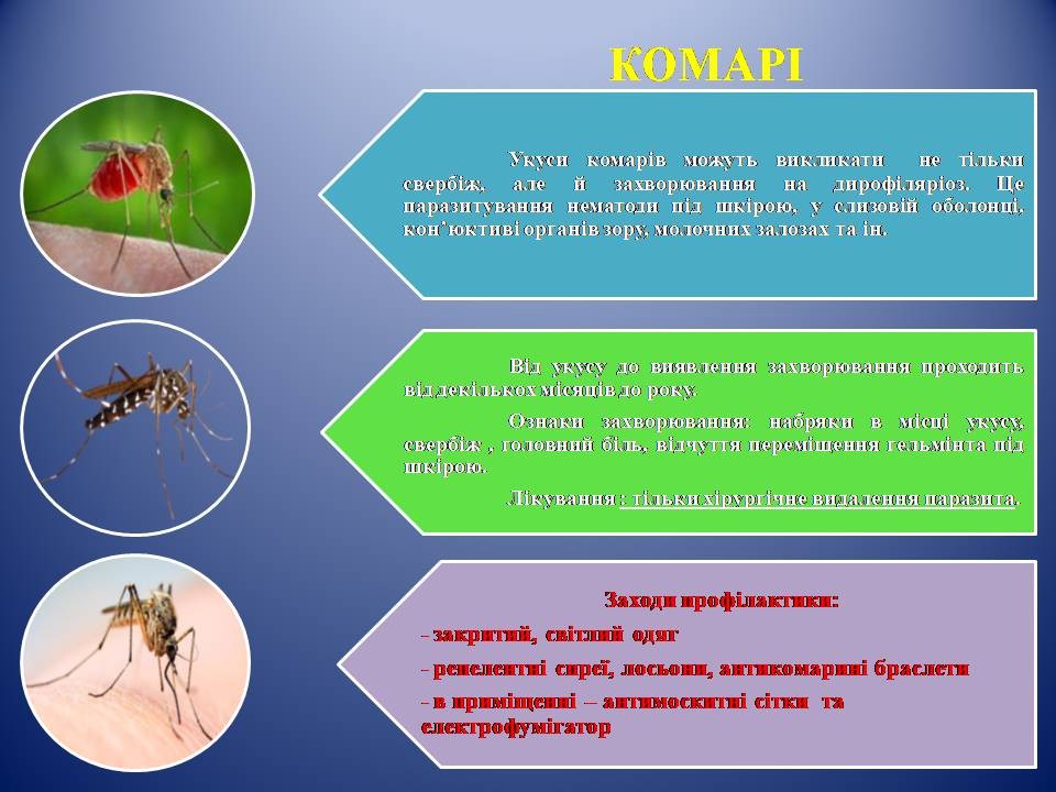 зображення viber 2024-06-14 08-32-50-568