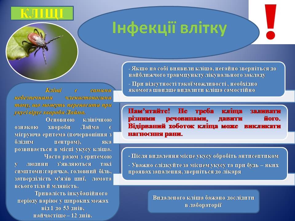 зображення viber 2024-06-14 08-32-53-997