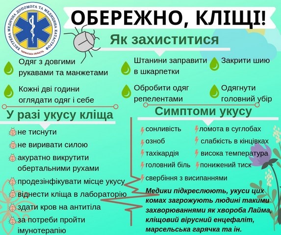 49891a51146bfab4fa947378bb57d674